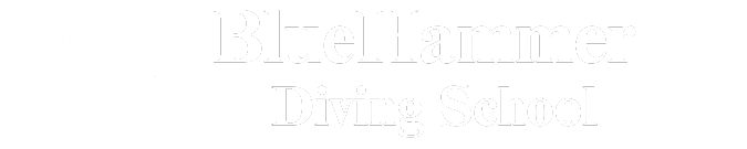 BlueHammer Diving School｜伊豆の海で、新しい自分に出会う